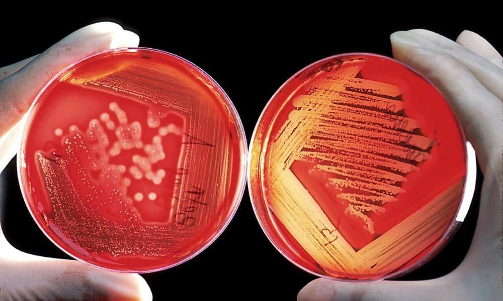 Materiały odporne na ekstremalne warunki – przyszłość inżynierii i technologii